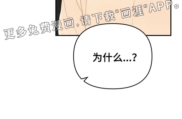 第39章：完美的