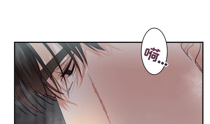 第44章：不常见