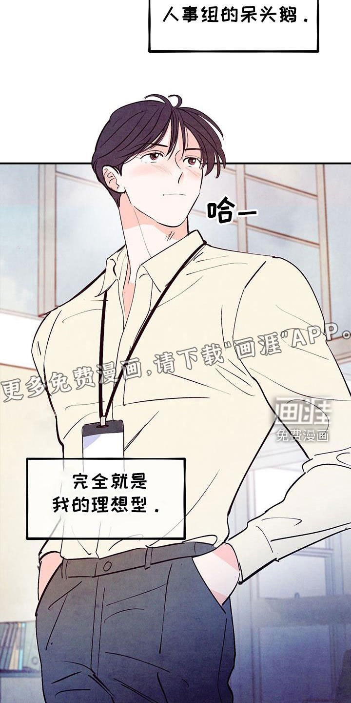 第114章：【第三季】呆头鹅