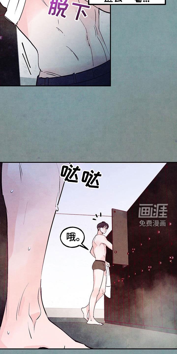 第114章：【第三季】呆头鹅