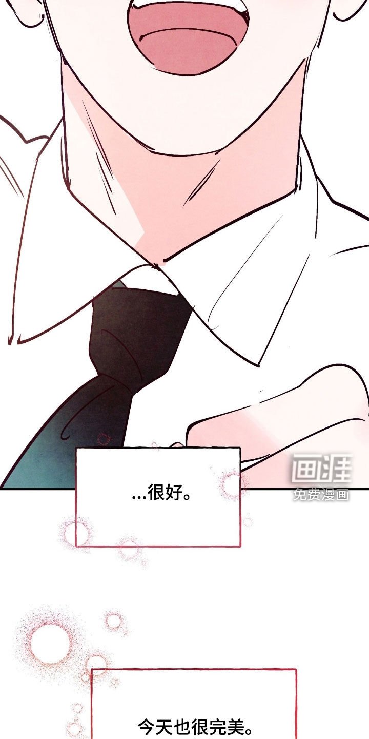 第163章：【第三季】今天也很完美