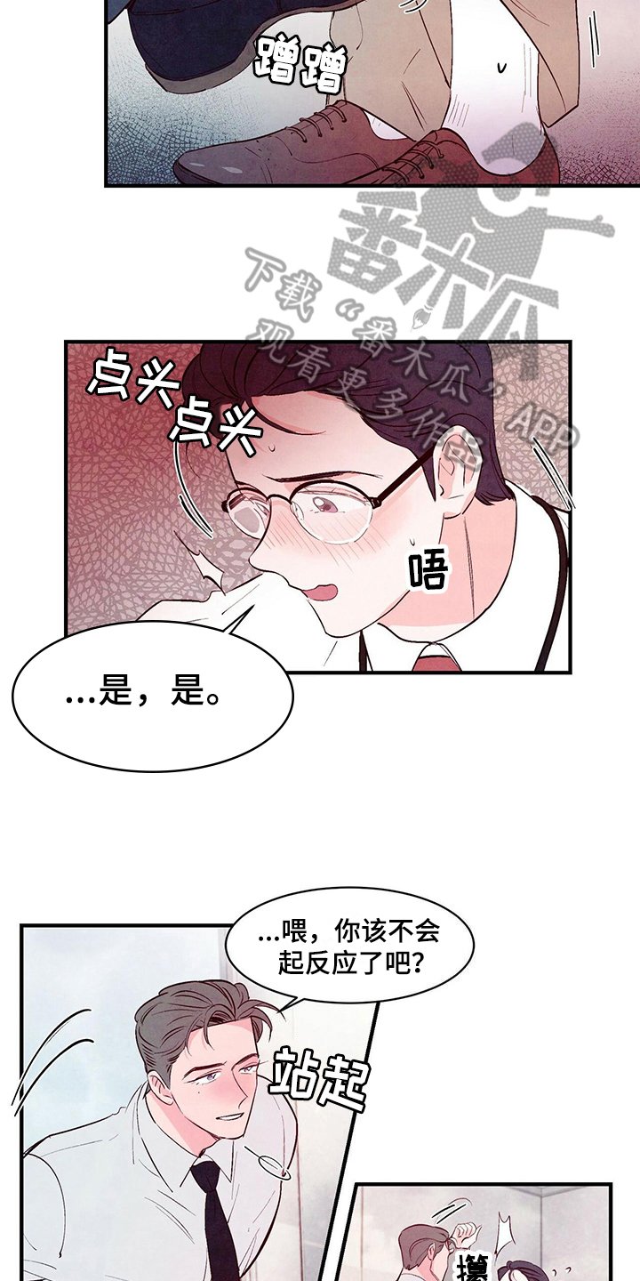 第17章：打算