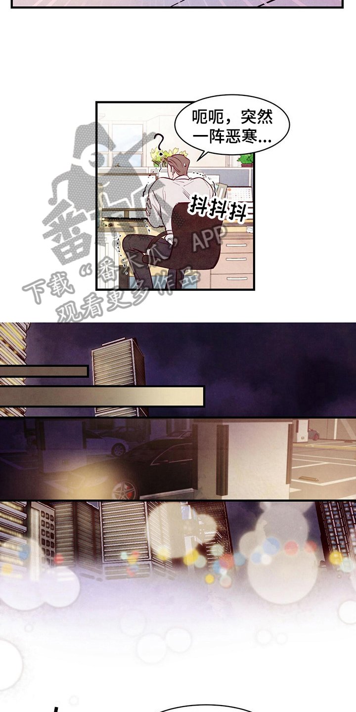 第17章：打算