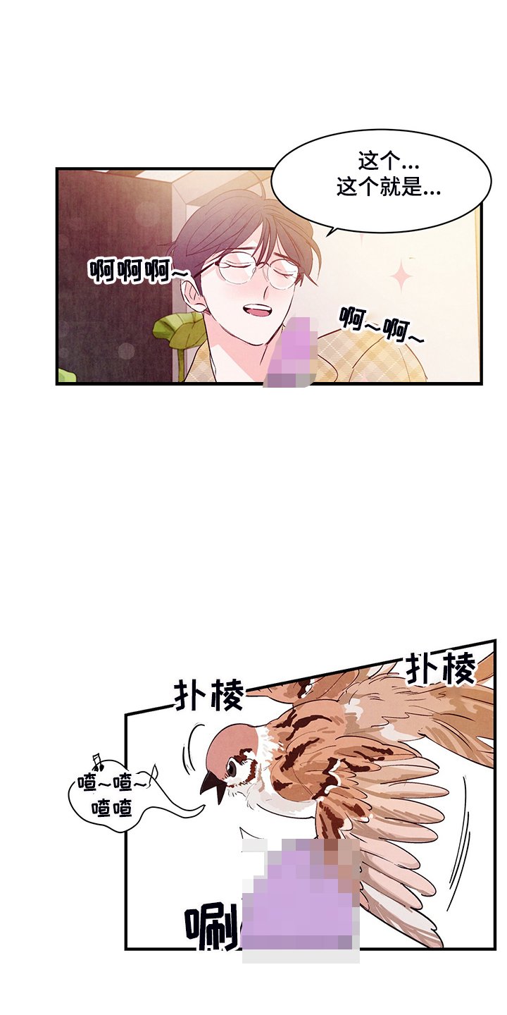 第25章：真正的爱情