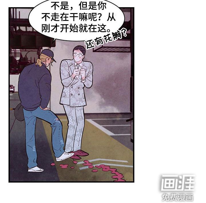 第49章：出主意