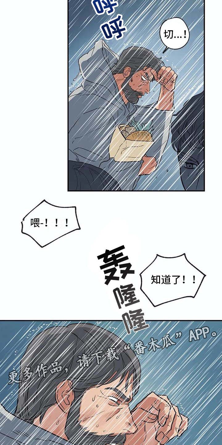 第15章：暴风雨