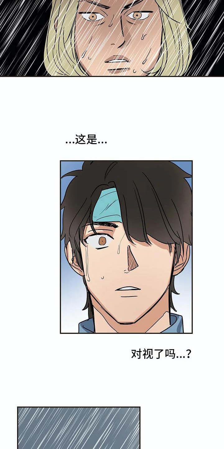 第17章：又回来了