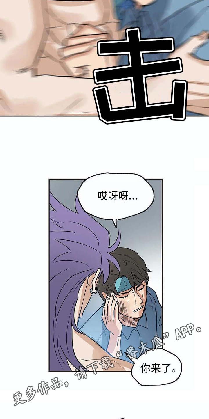 第17章：又回来了