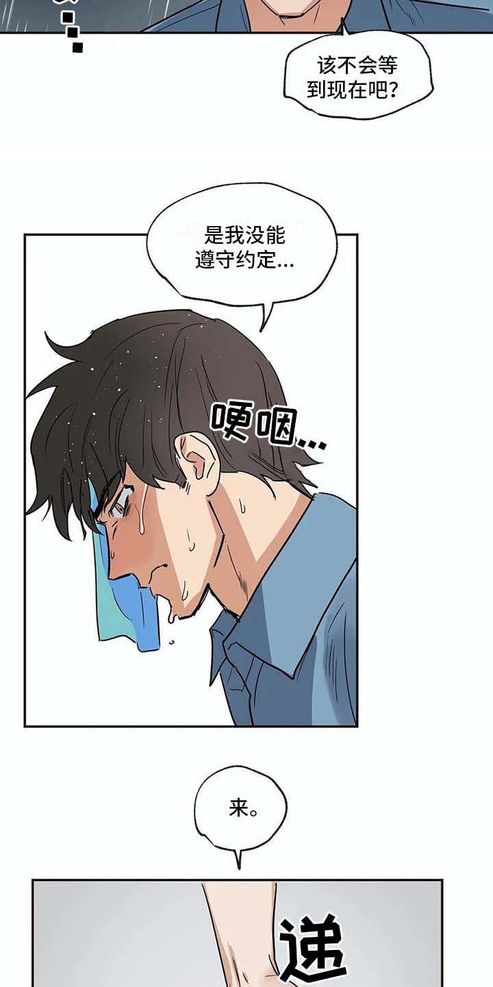 第17章：又回来了