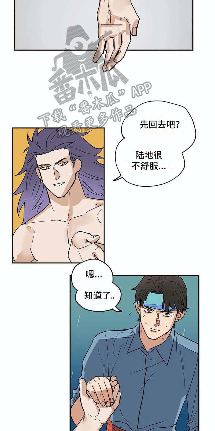 第17章：又回来了