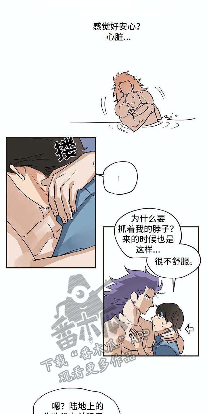 第17章：又回来了