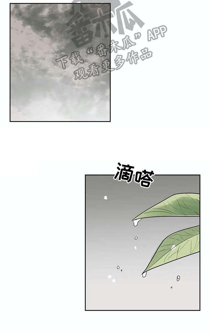 第27章：应对台风