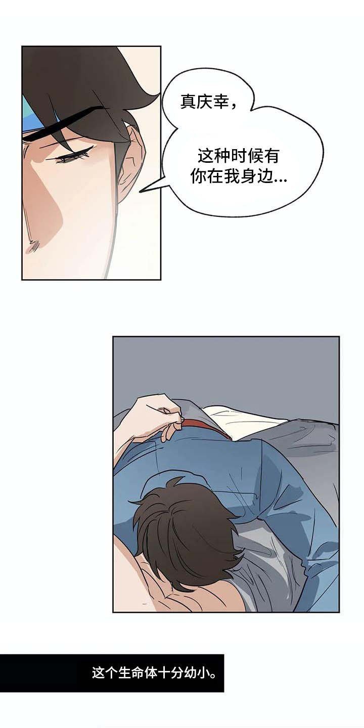第31章：依靠