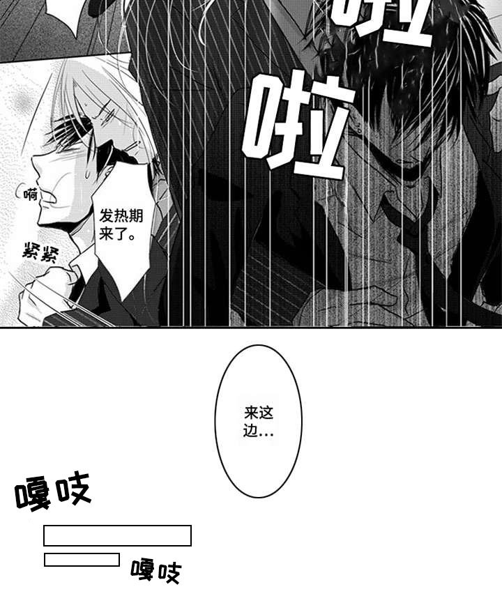 第11章：邀请函