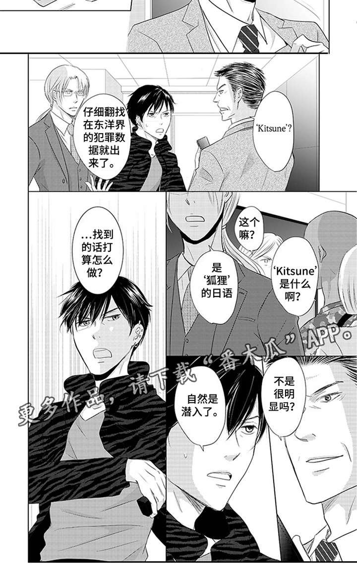 第27章：调查报告
