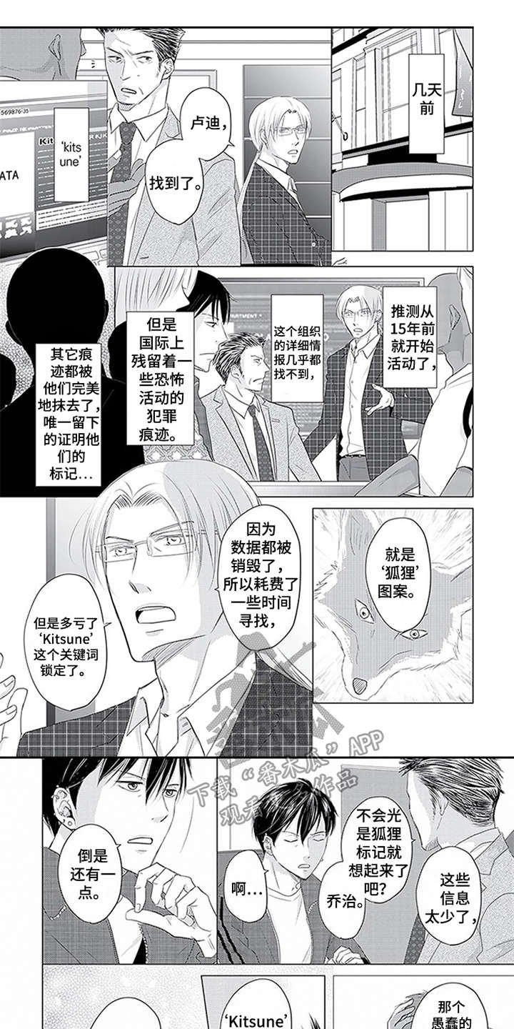 第28章：擅长的领域