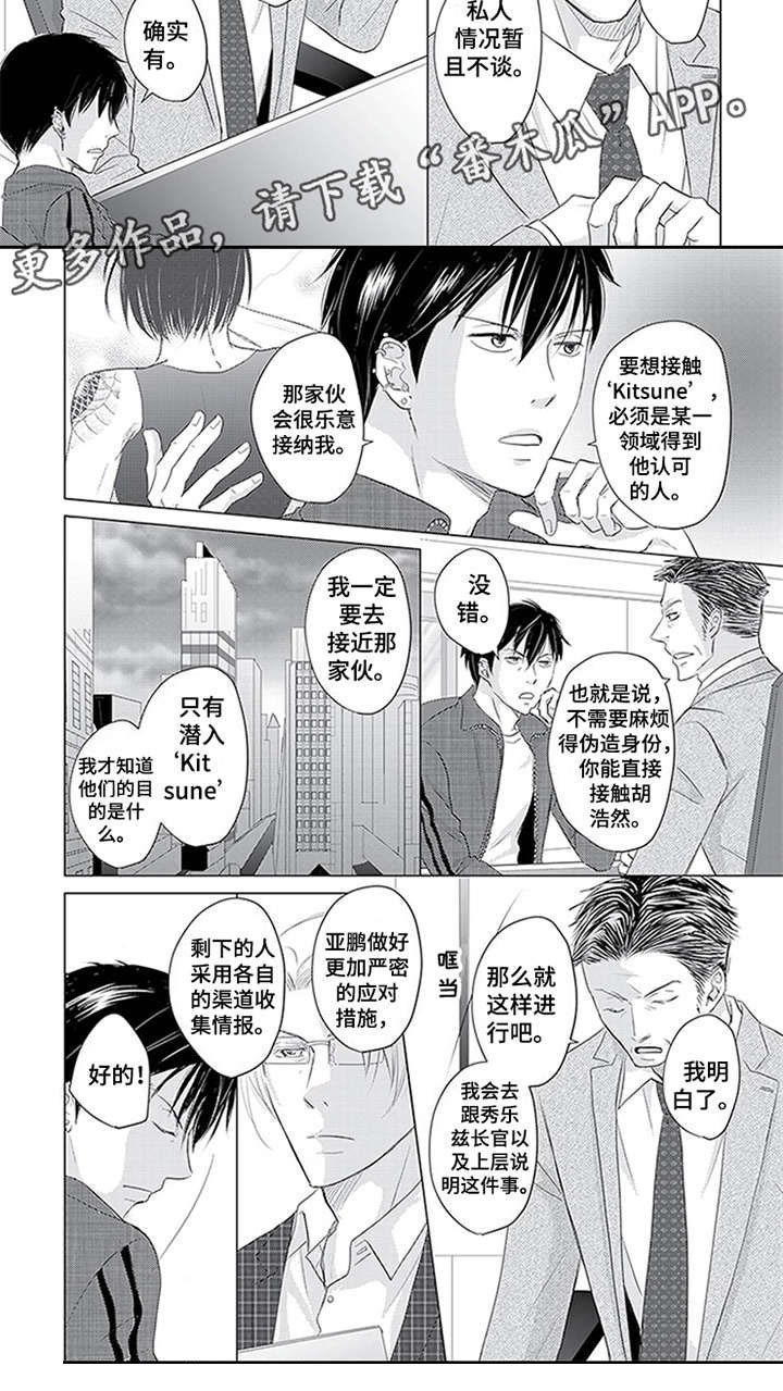 第28章：擅长的领域