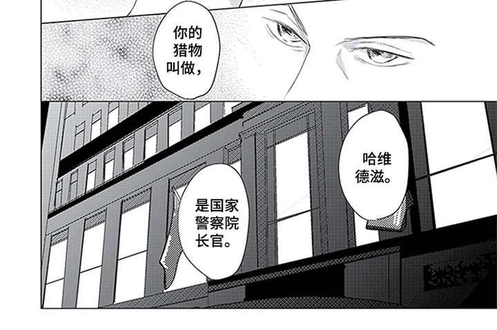 第30章：开始行动