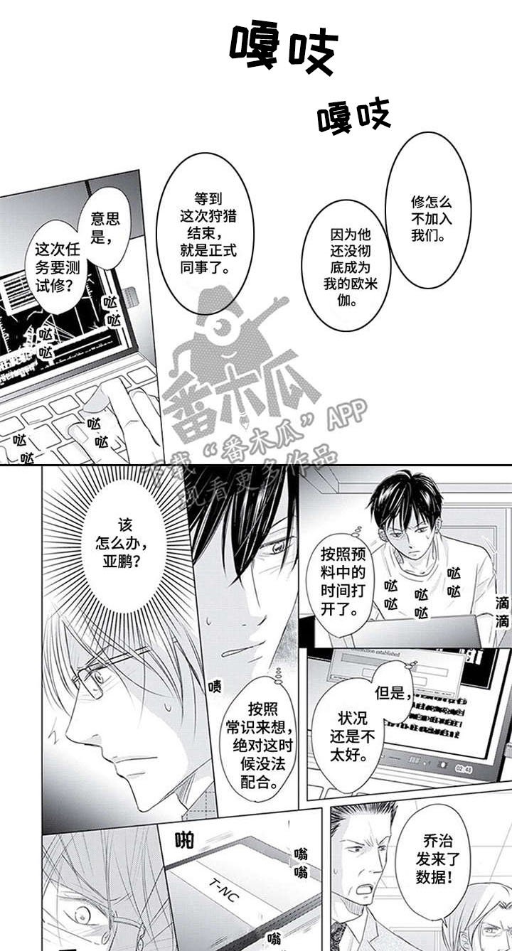 第30章：开始行动