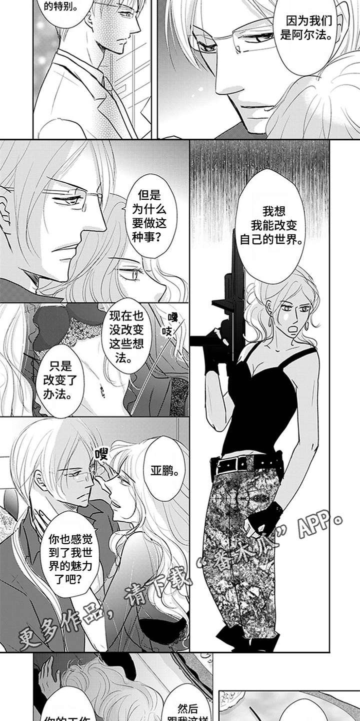 第4章：宝石