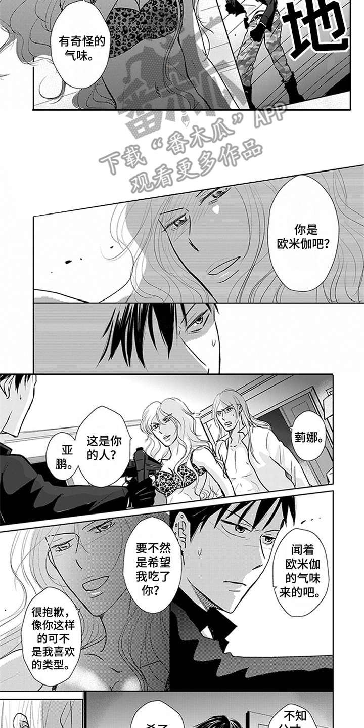 第4章：宝石