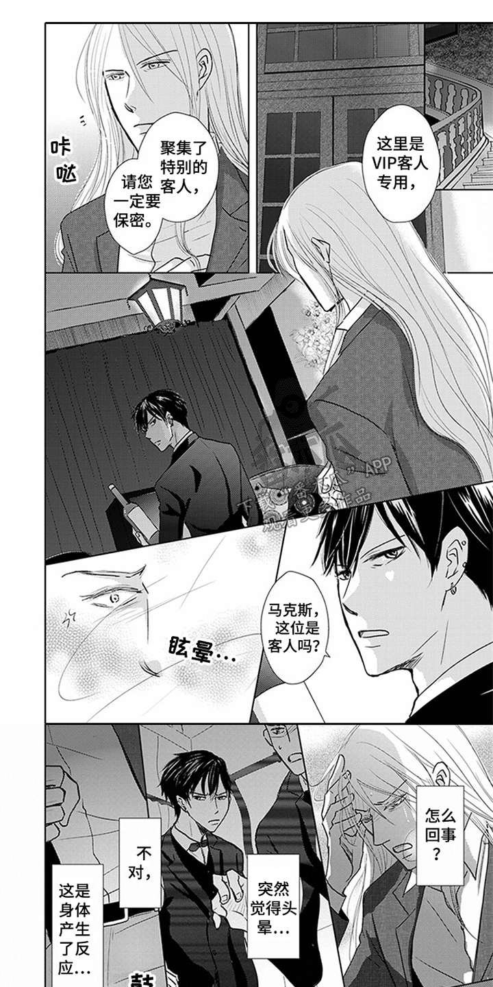 第6章：VIP