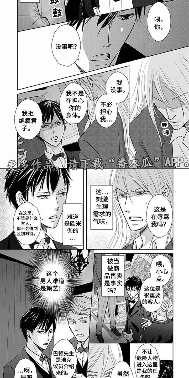 第6章：VIP