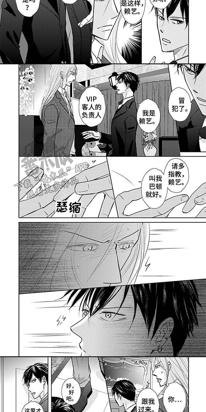 第6章：VIP