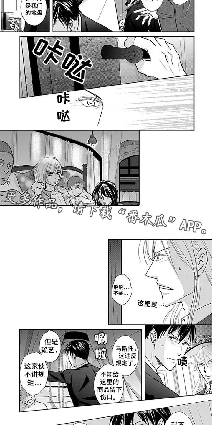 第6章：VIP