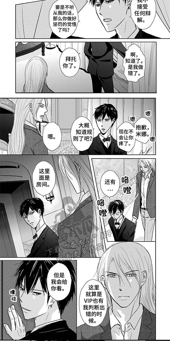 第6章：VIP