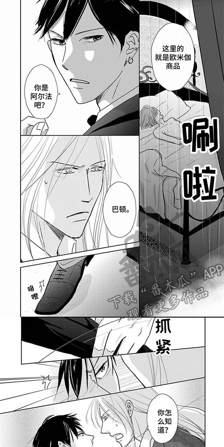 第6章：VIP