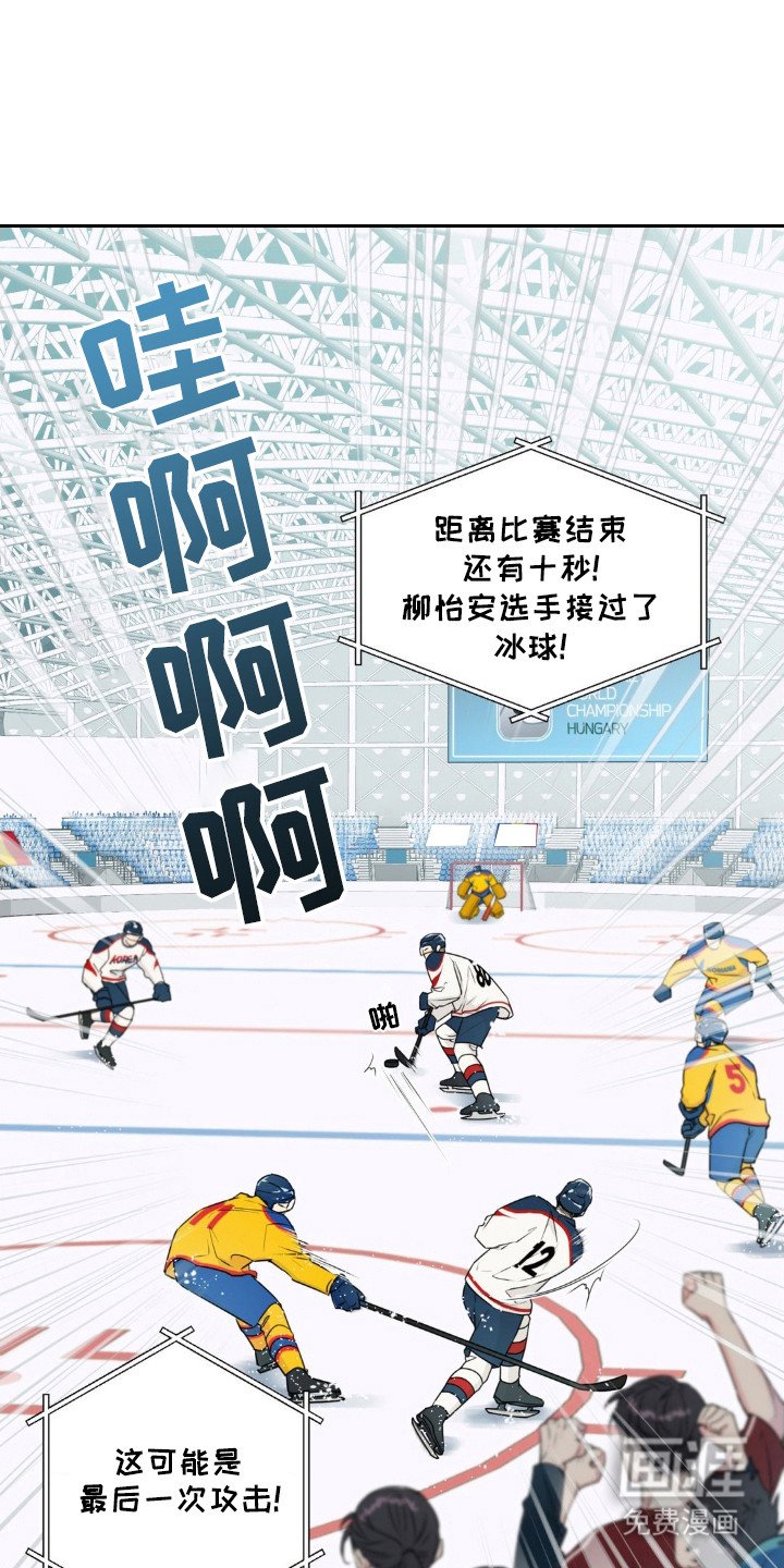第1章：冰球选手