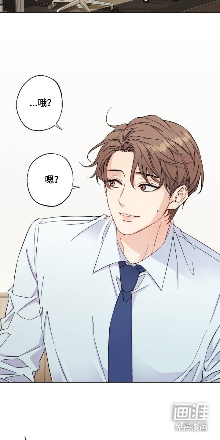第1章：冰球选手