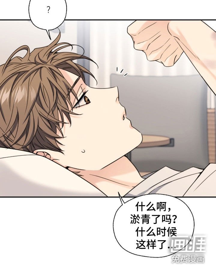 第36章：接下来怎么办