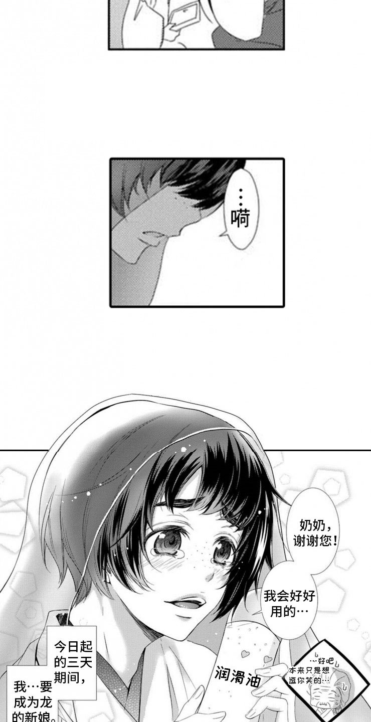 第1章：两只龙