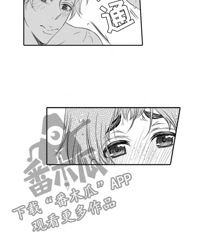 第16章：进阶