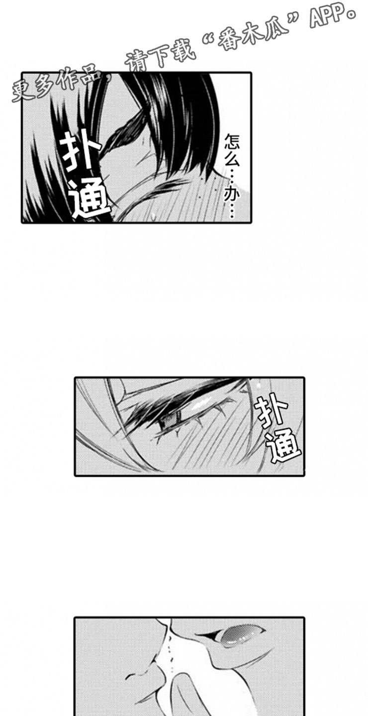 第6章：开端