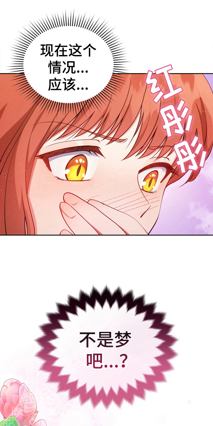 第12章：消除记忆