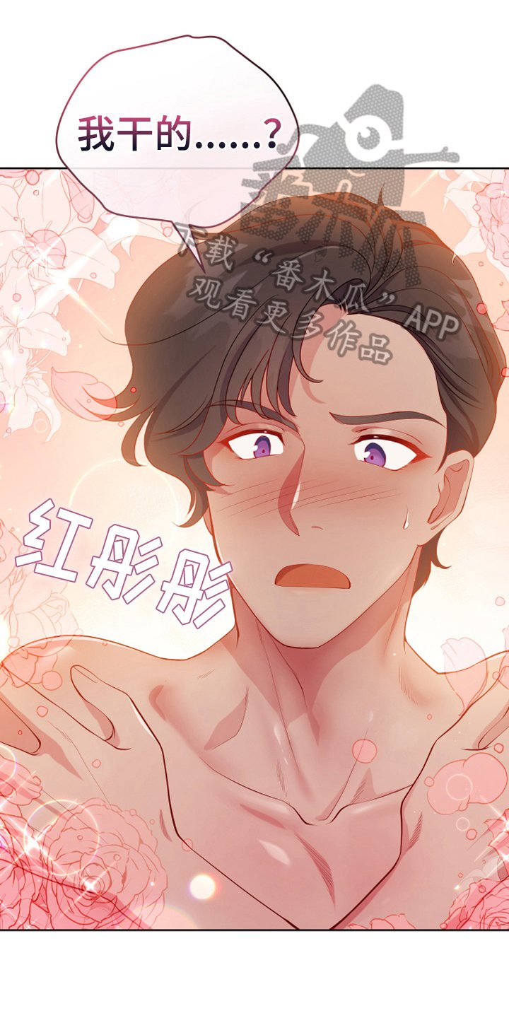 第13章：安排