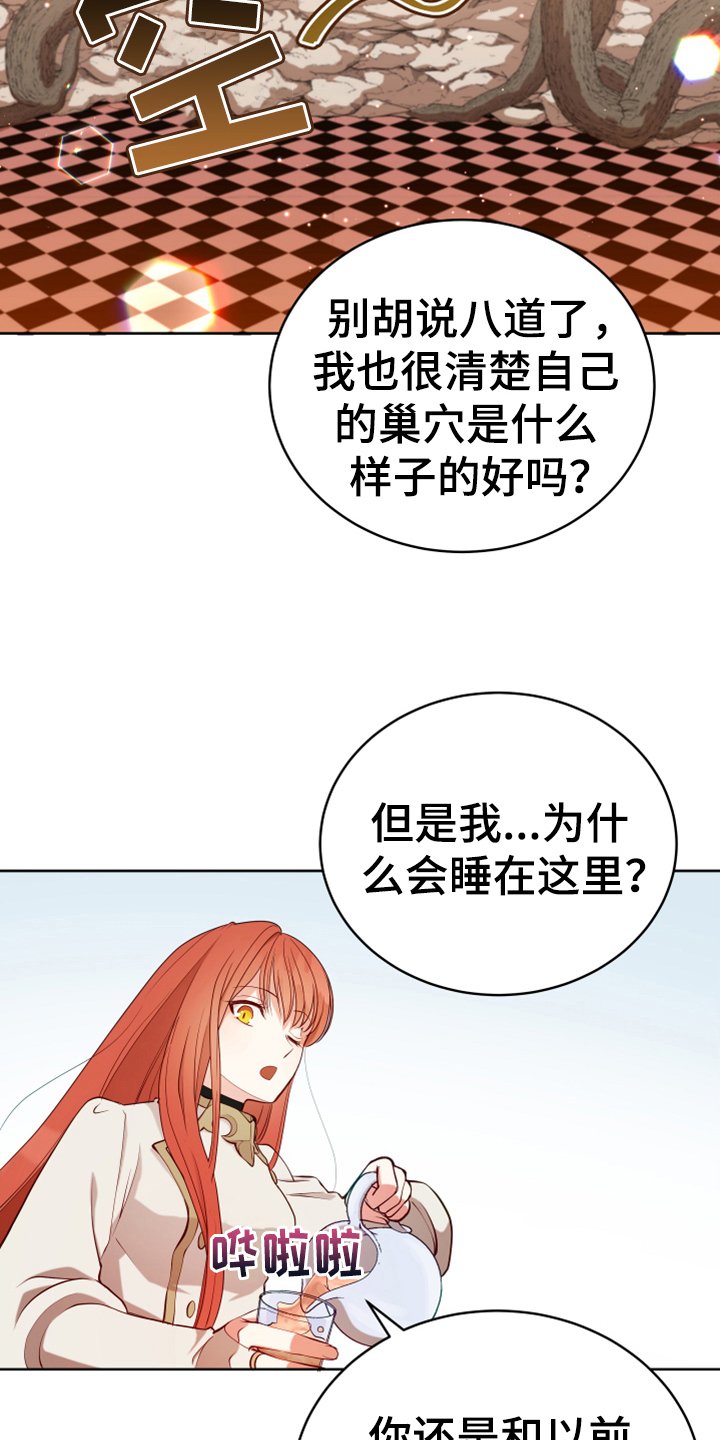 第15章：朋友