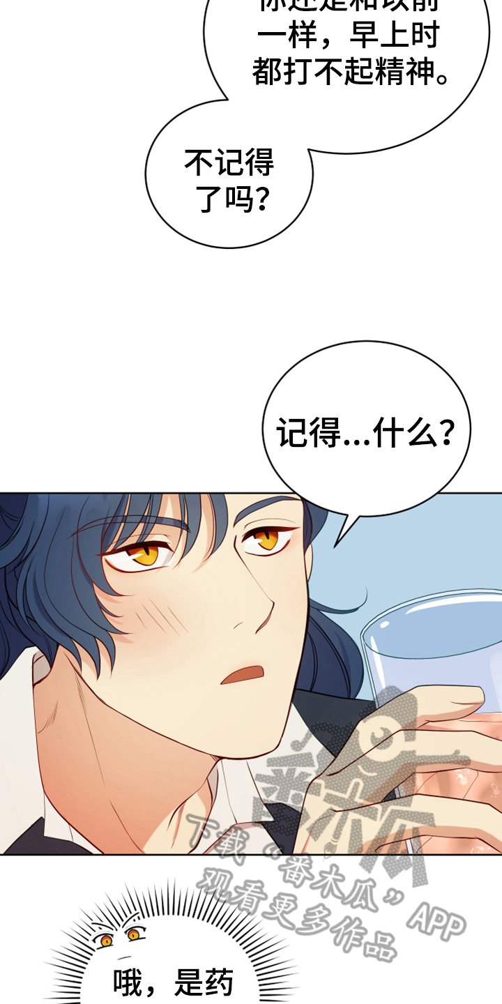 第15章：朋友