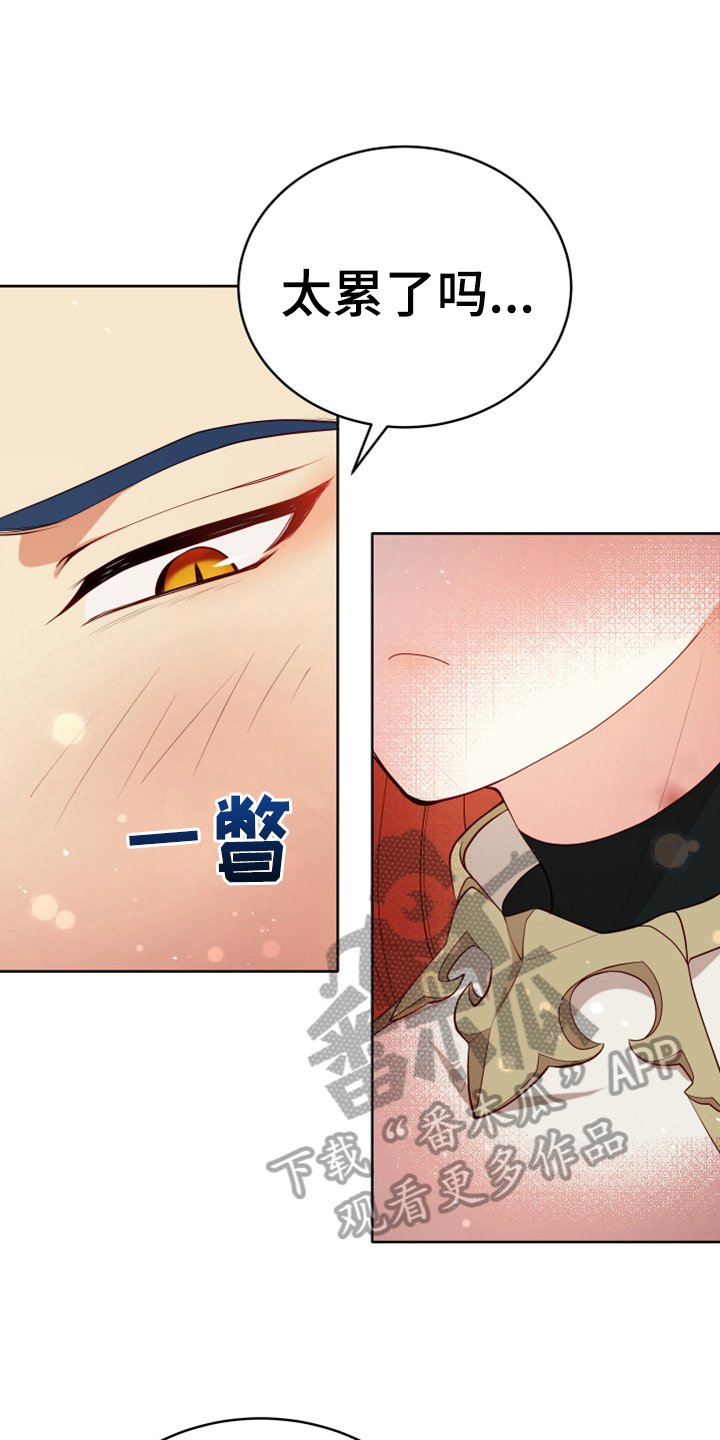 第15章：朋友