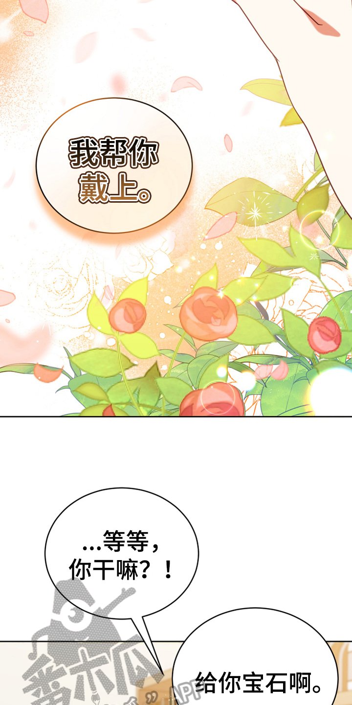 第19章：提议
