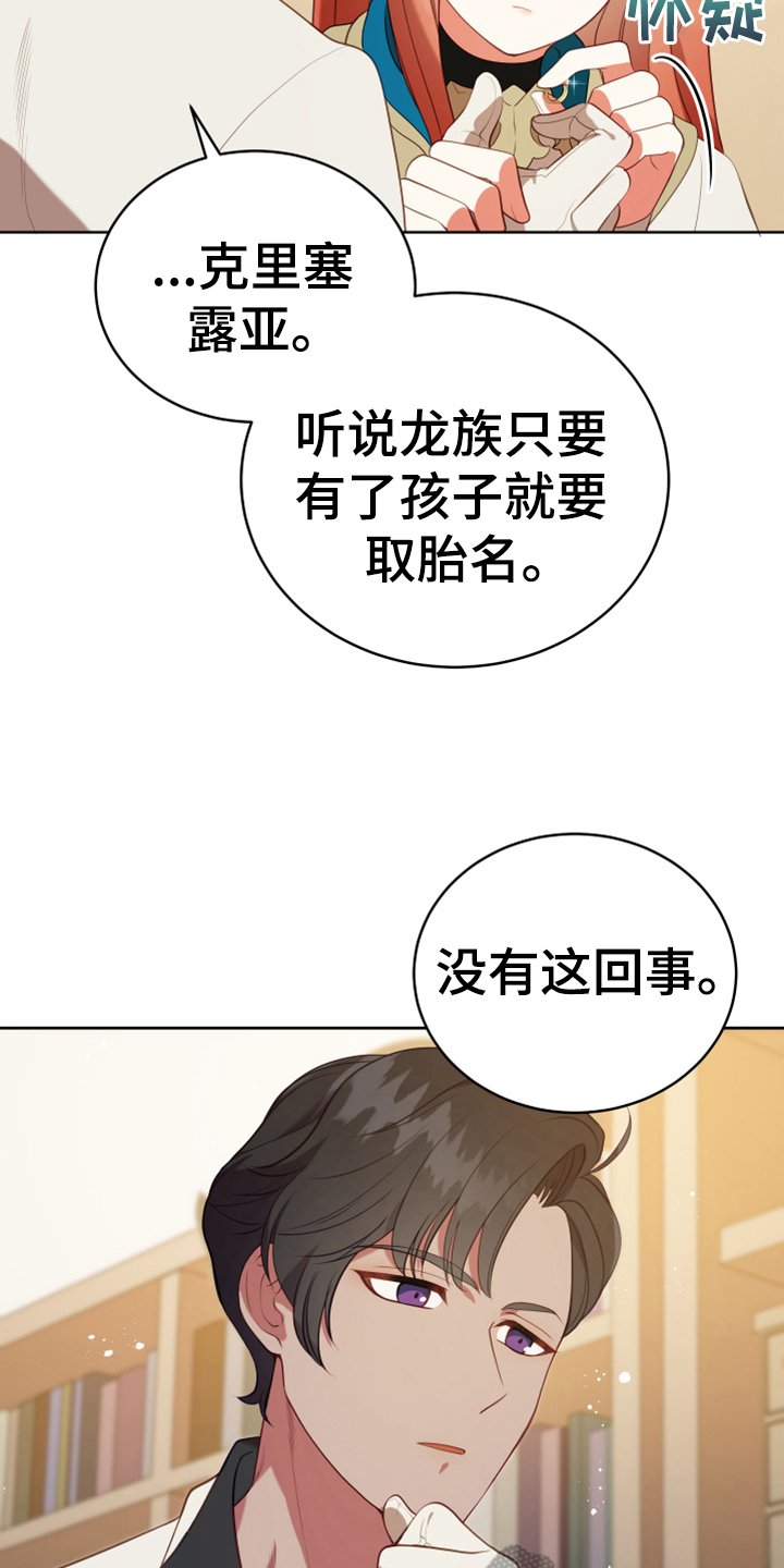 第19章：提议
