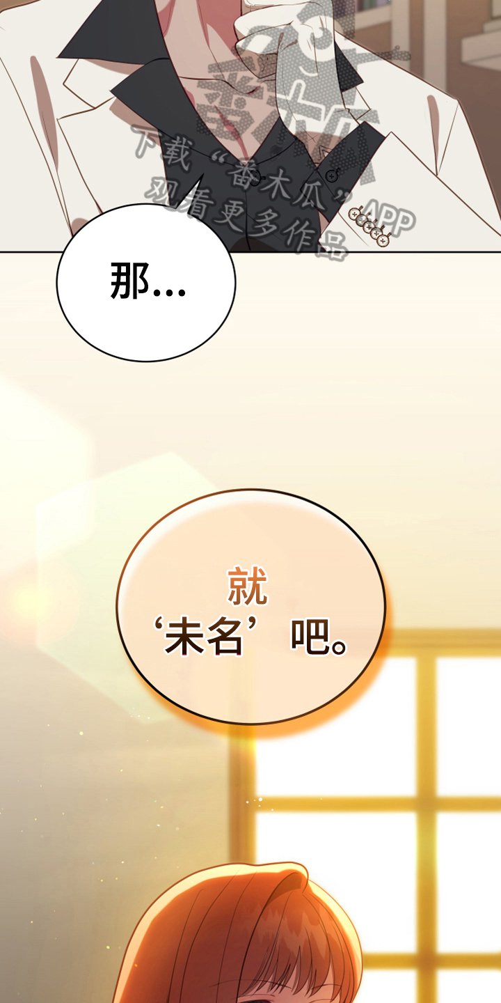 第19章：提议