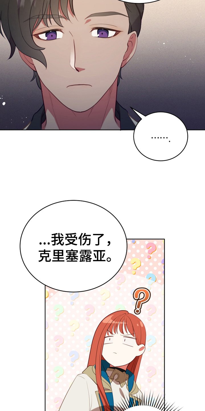 第19章：提议