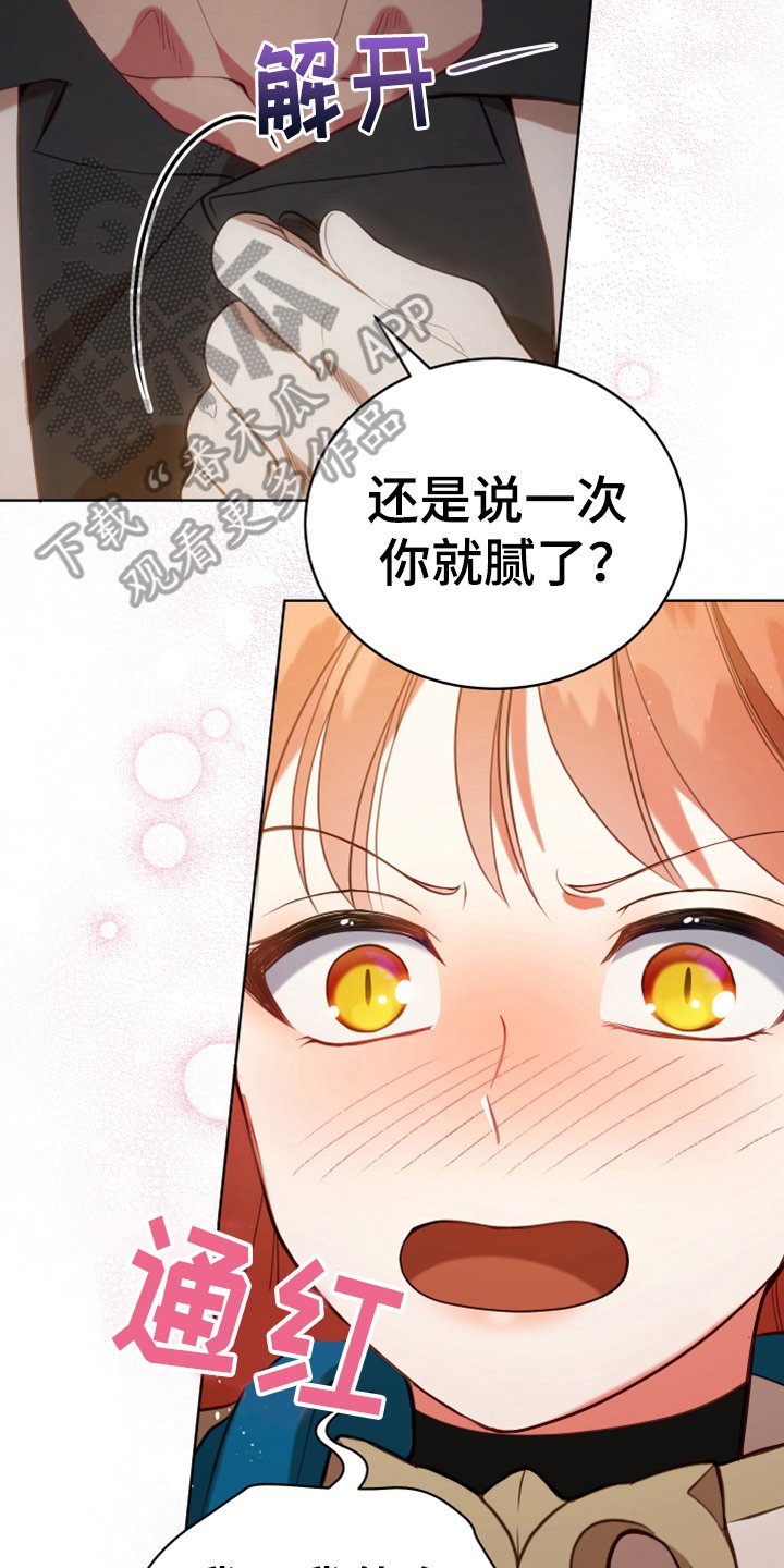 第19章：提议