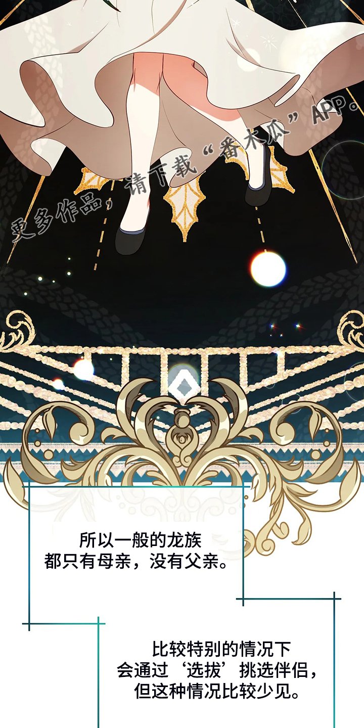 第23章：我来负责