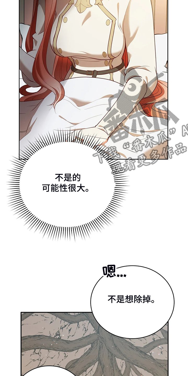第24章：庆典当天
