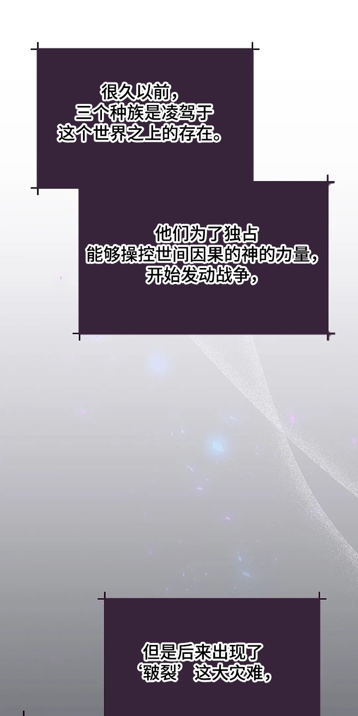 第26章：三大种族